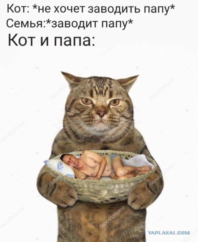 Фотки и картинки: юморные и красивые, забавные и милые 21.09.20