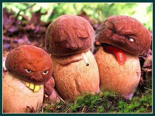 Розовые сапожки