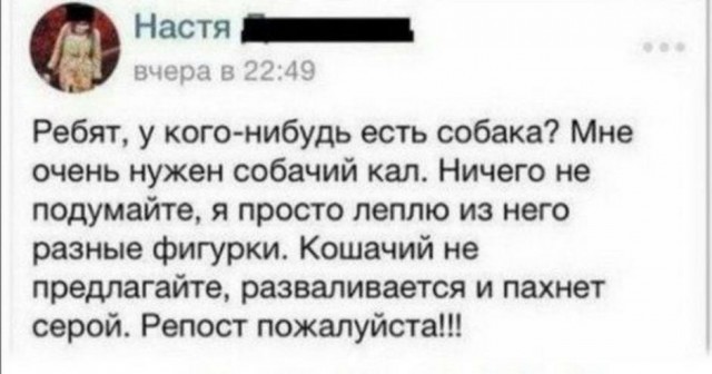 Фотки и картинки: юморные и красивые, забавные и милые 07.10.20