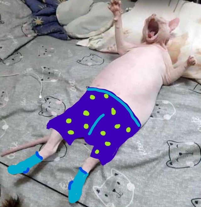 Мемы про Наташу