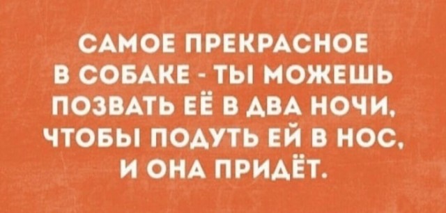 Декабрьский пикчемёт