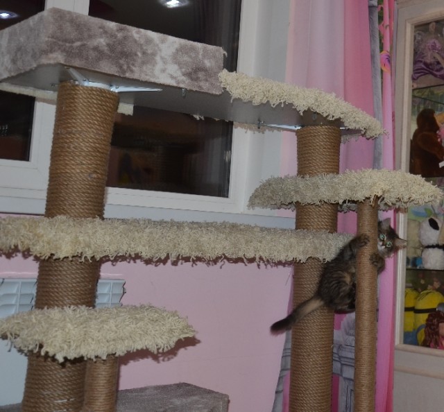 Домик для котейки