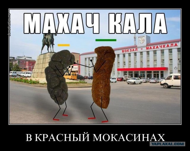 Недотрога с фальшивыми правами