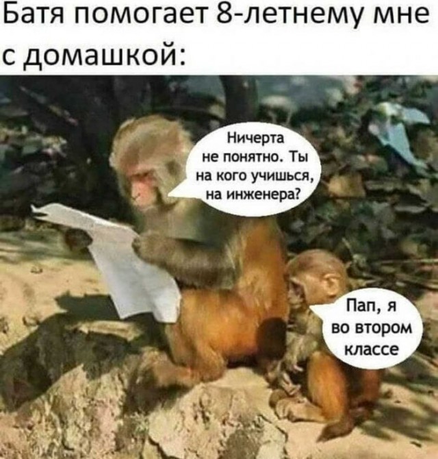 Картинки и мемы для настроения 024