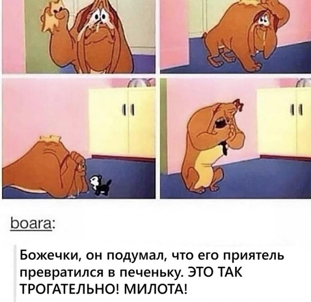 Картинки и мемы для настроения 15.06.2021