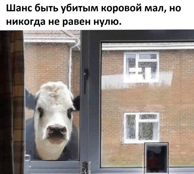 Картинки и мемы для настроения 28.06.2021