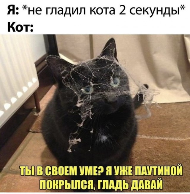 Так себе картинки 12.08.21