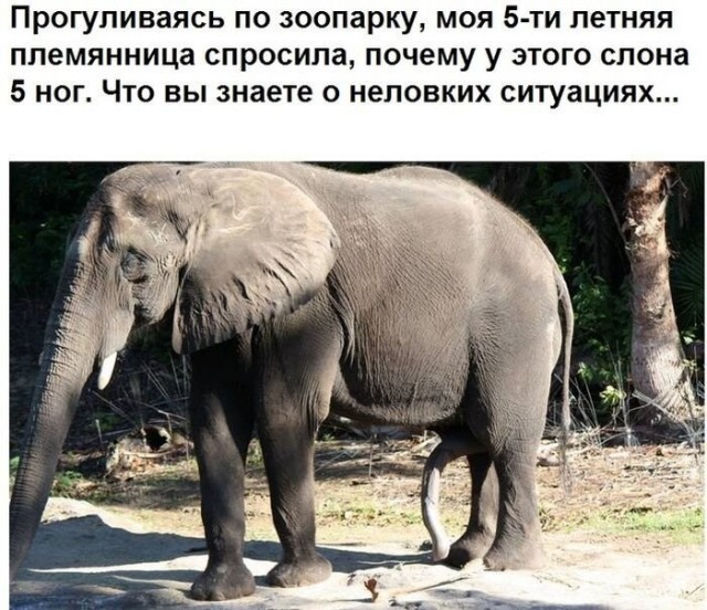 Черный юмор в картинках. 30.08.21