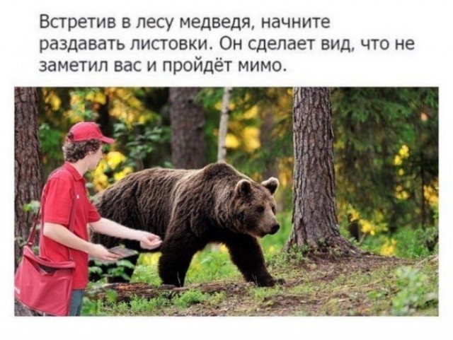 Картинки и мемы для настроения 01.11.2021