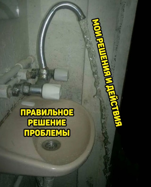 Весёлый полтишок 01.02