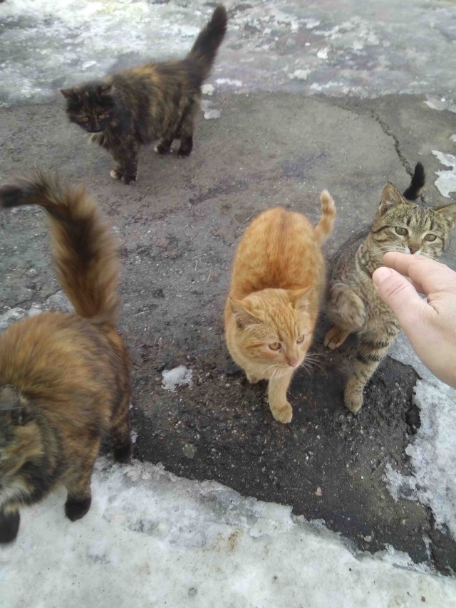 Они нашли друг друга