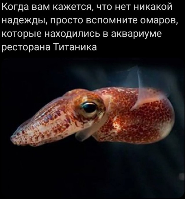 Картинки для настроения с надписями и без