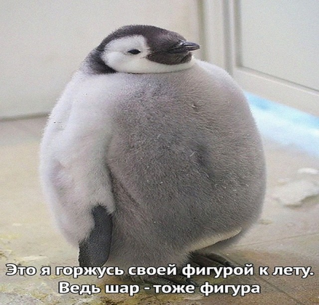 Картинки и мемы для настроения - 29