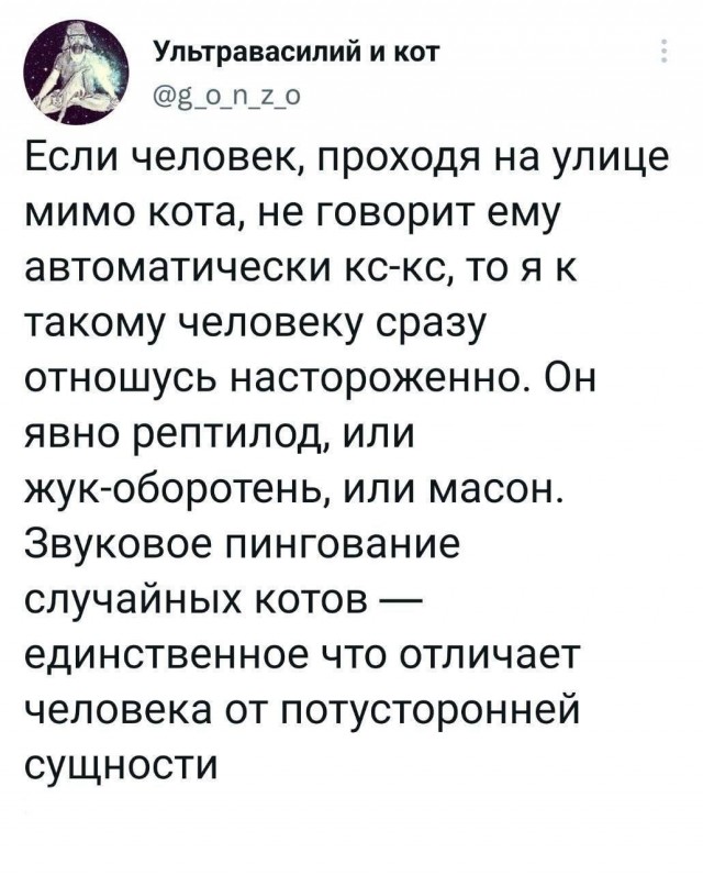 О пользе звукового пингования случайных котов