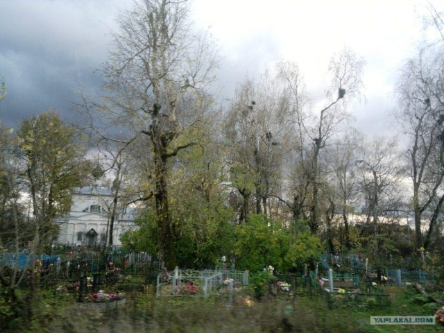 Отдых на Костромских разливах
