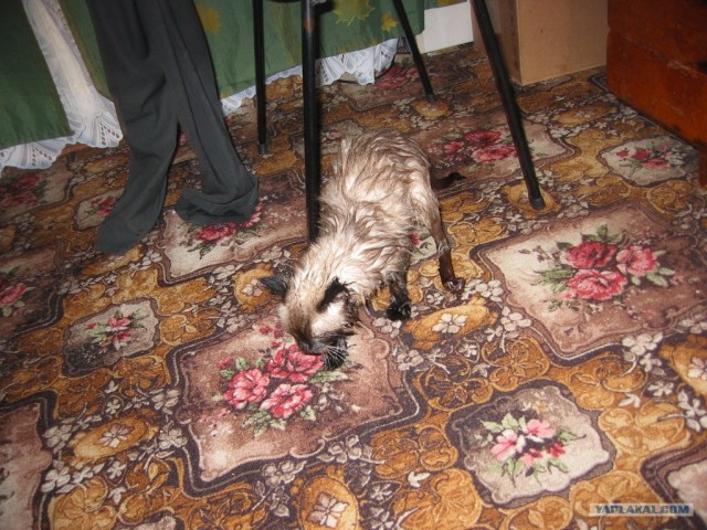 Хороший отдых