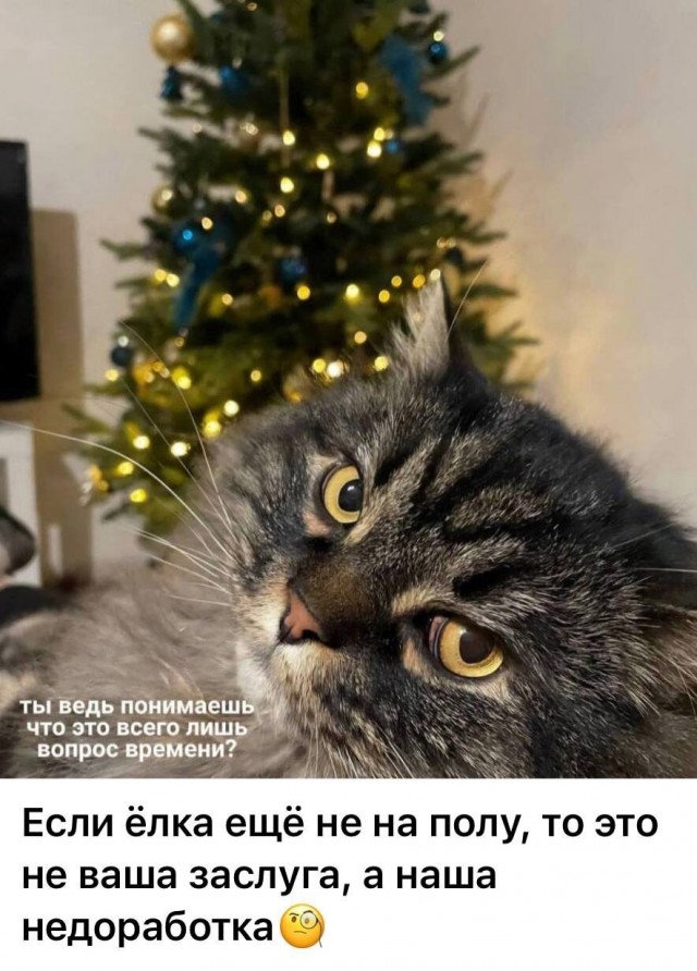 Юмор в картинках и без 10.01.2023