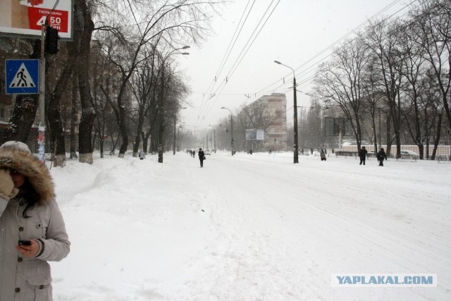 23 марта. Киев. Весна.