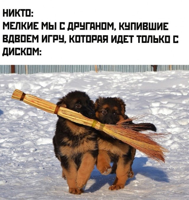 Картинки и мемы для настроения - 131