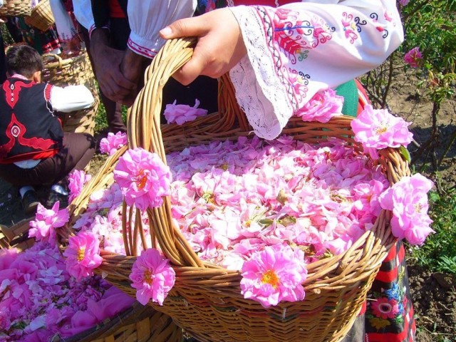 Победная поступь идиотизма по планете – том 15