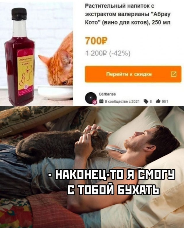 Картинки и мемы для настроения - 181