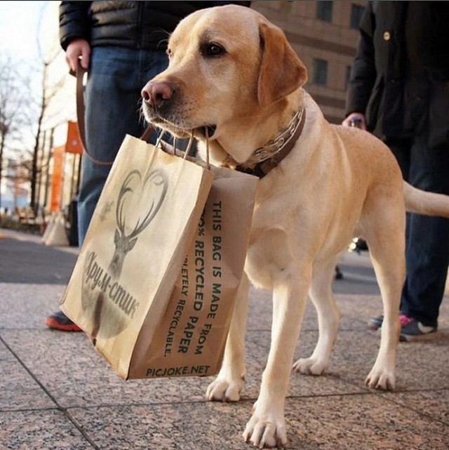 Короткие истории про нас и не про нас (с картинками)