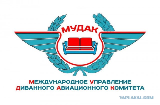 Самолет «Уральских авиалиний» совершил экстренную посадку в поле