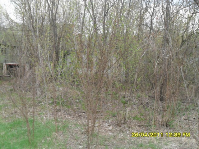 Чернобыль 2011