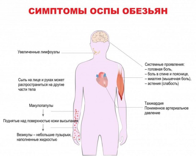 Школа джедаев. Начало