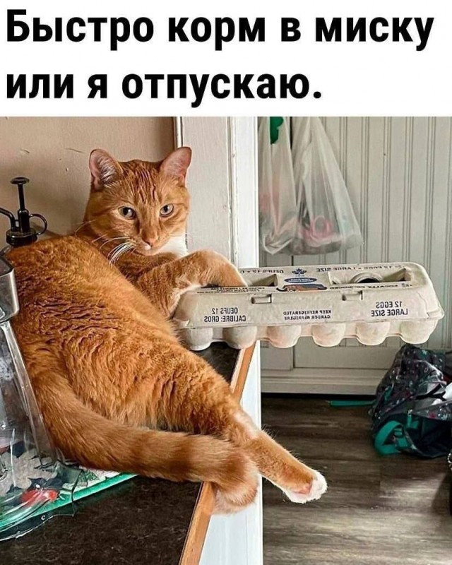 30 старопредновогодних пикч