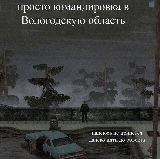 Всего понемногу. От 27.02.24