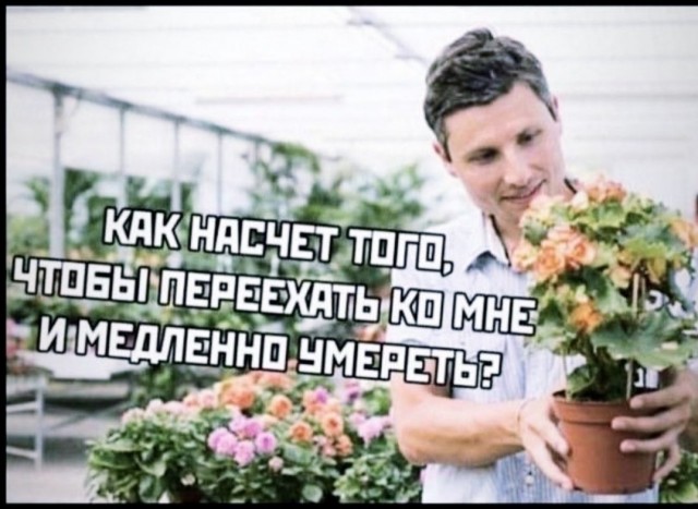 Картинки