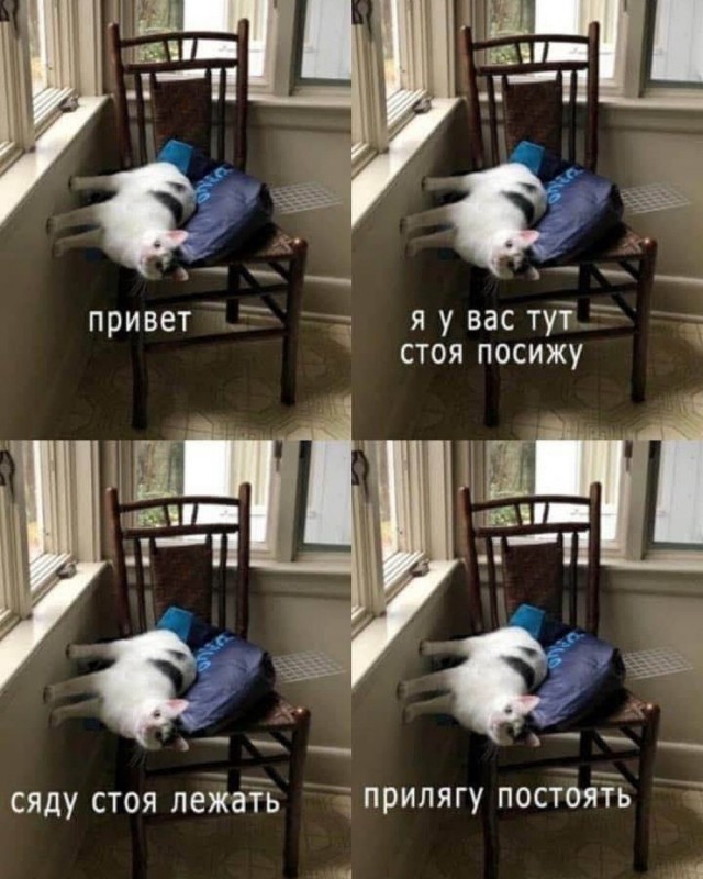 Отряд быстрого деградирования