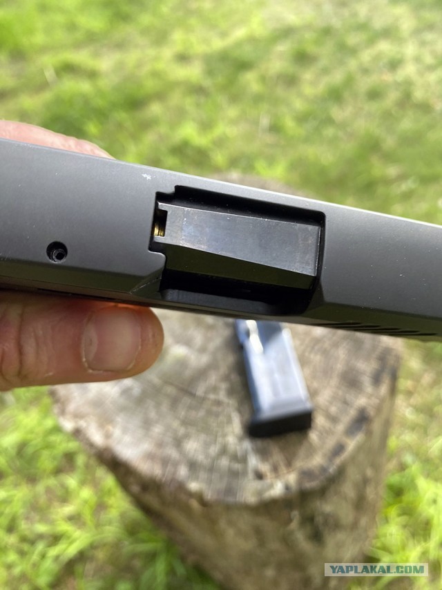 Sig Sauer P365