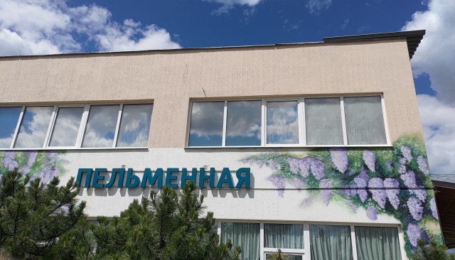 Ездил в Люберцы в налоговую, заехал в пельменную, есть ведь места ещё...