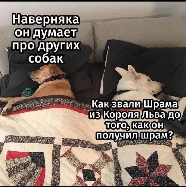 Завалялось тут случайно немного забавных картинок