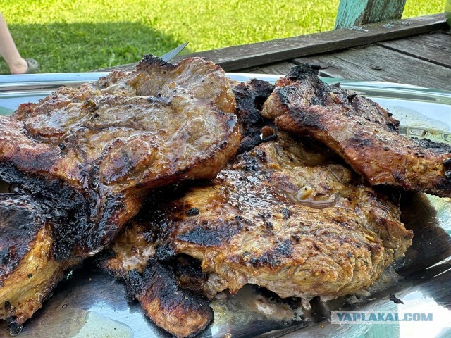 Свиной оберег для школ и детских садов