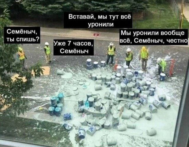 Так себе картинки 25.11.24