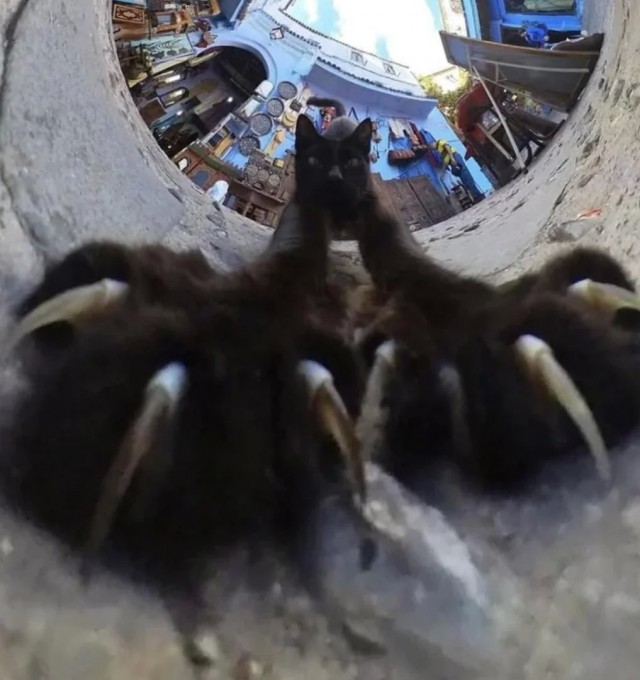 Твоя душа принадлежит мне!