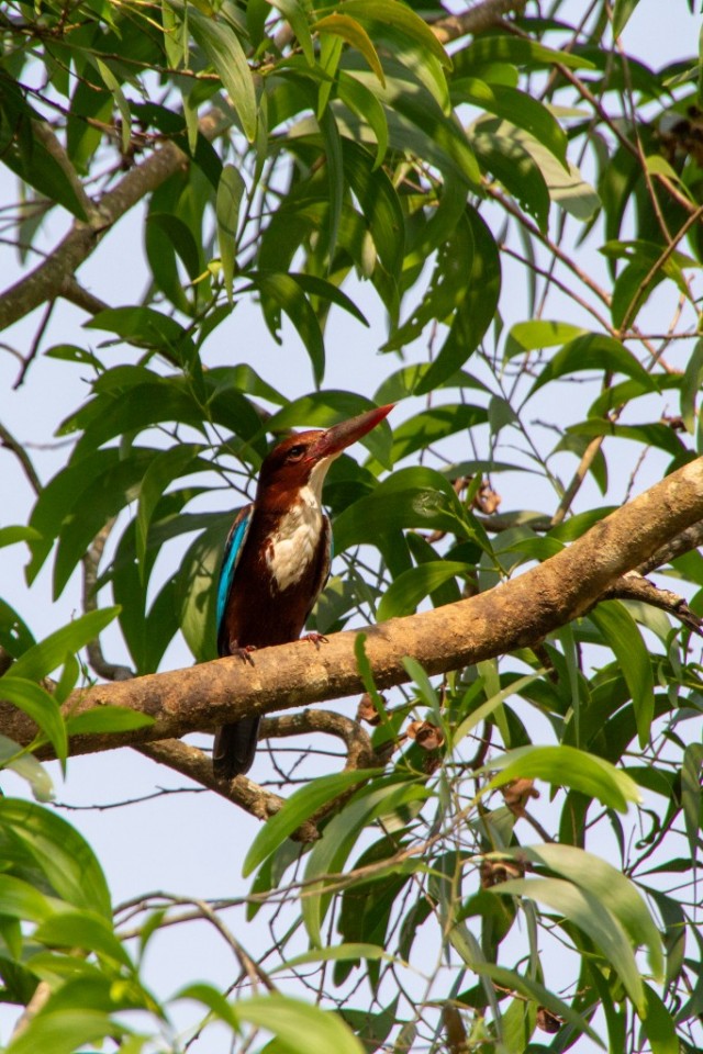 Бутан, таинственный Бутан
