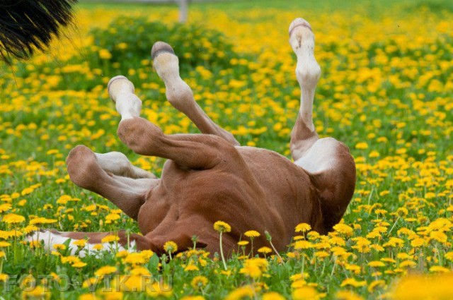 Что я буду делать в ближайшие три дня!