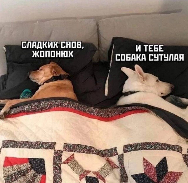 ТРРРидцать тРРРи от 3 июня
