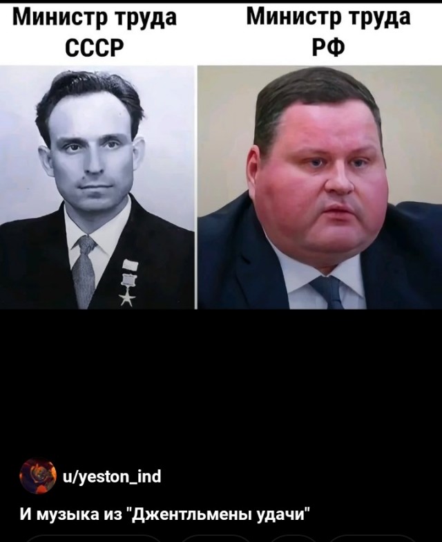 Сова на отдыхе