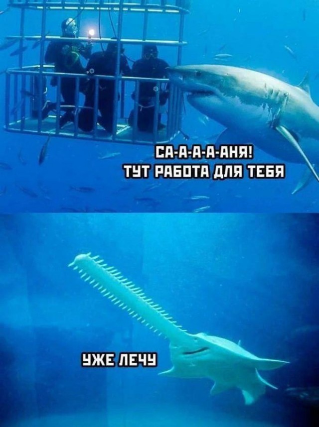 Картинки для деградации 19 (разной степени свежести)