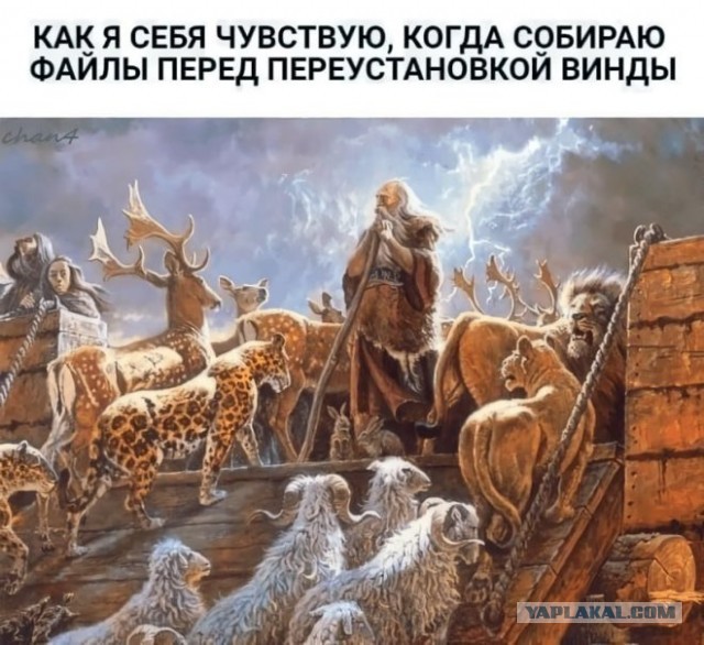 Веселые картинки в пятницу (15.08)