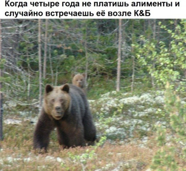 Маленькая пятница 20.08.25