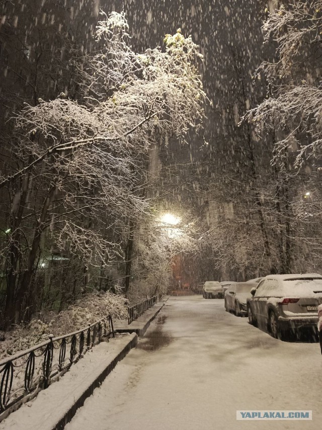 С первым снегом нас!))