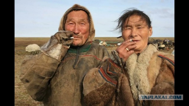 Почему происходит сокращение рождаемости во всем мире и чем это закончится?