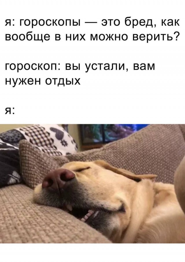 Прикольные и просто красивые картинки 06.01. 2026