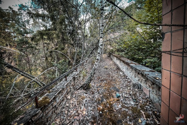 Детство, украденное мирным атомом. Заброшенный с 1986 года детский сад в Припяти